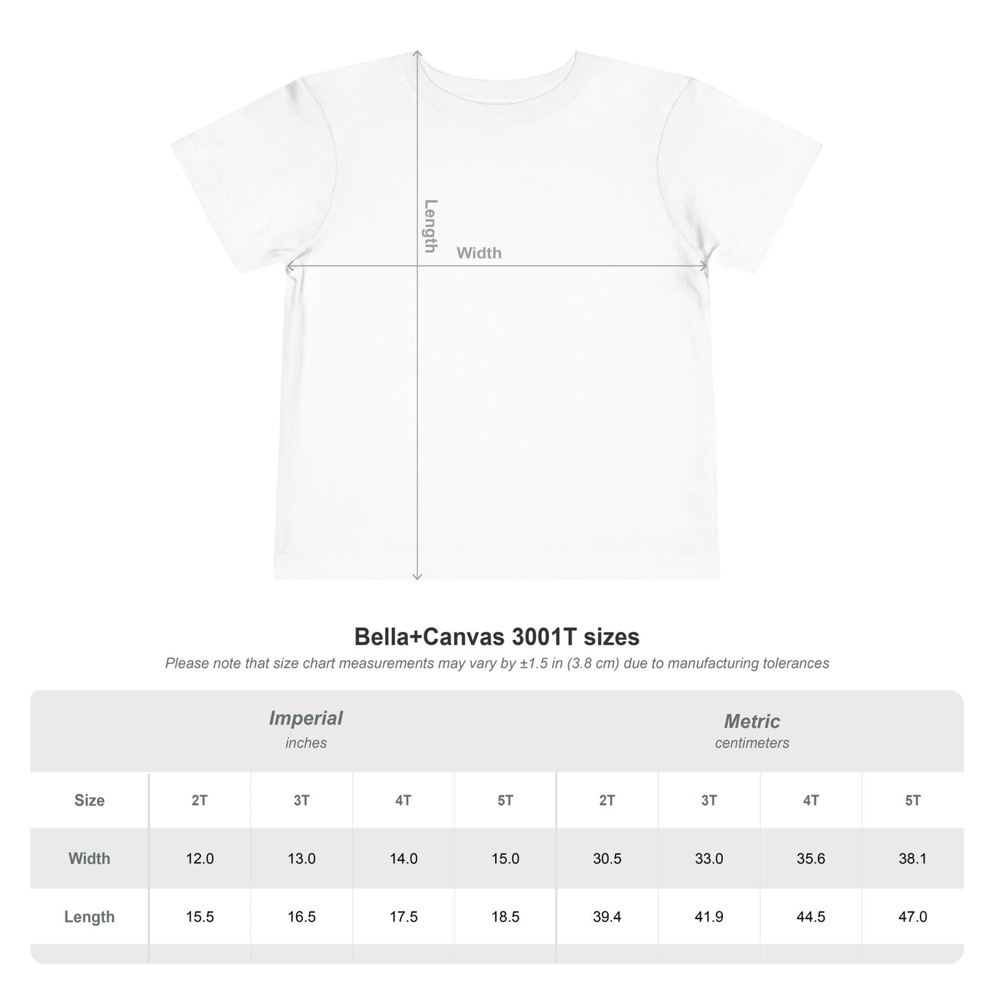 Toddler Tee — Saint George Slays Dragon Graphic Shirt